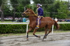 Immagine <b>REG_9159</b>